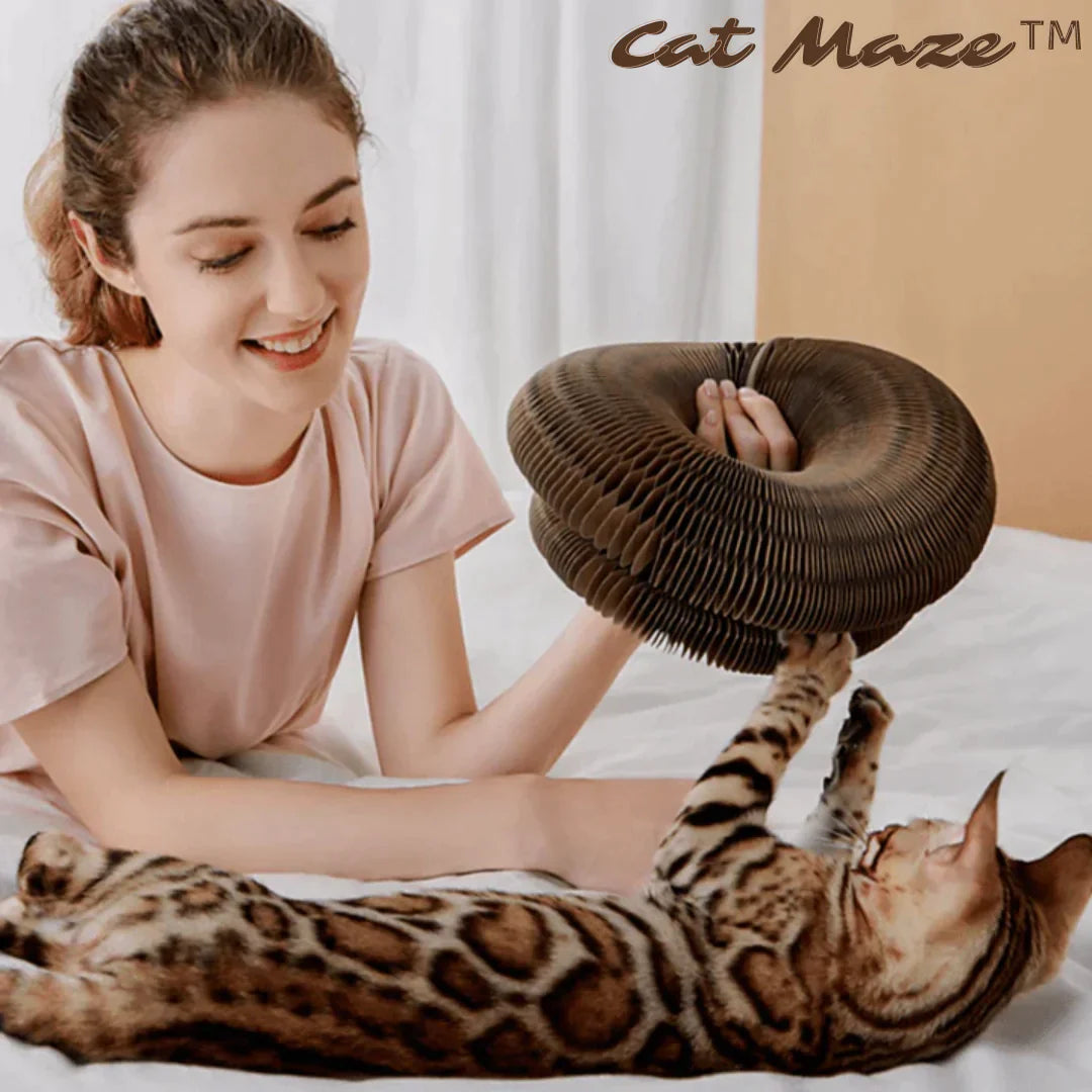 CatMaze™ Katzenspielzeug für die aktive Katze