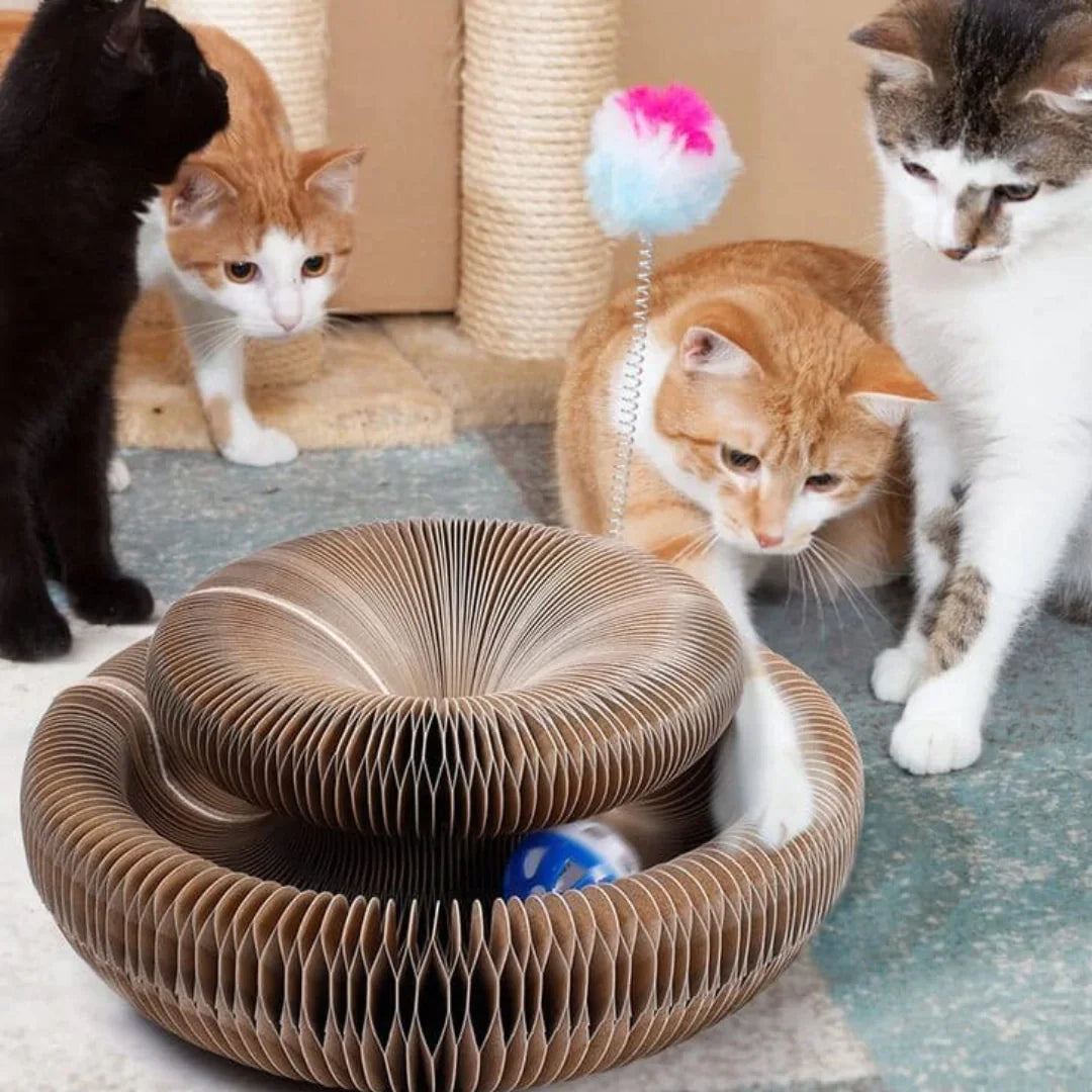 CatMaze™ Katzenspielzeug für die aktive Katze