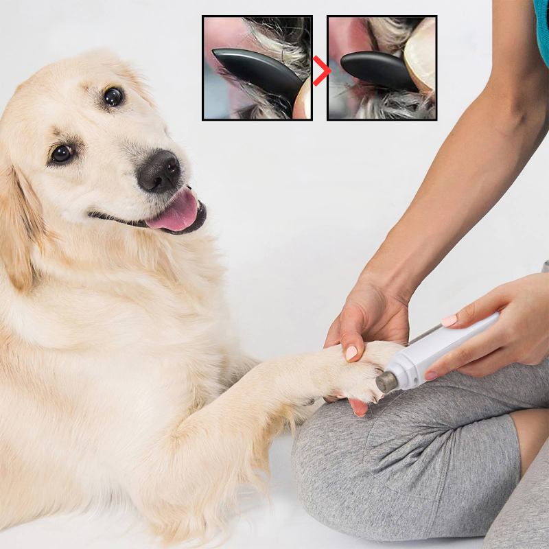 PawPerfect™ | Sicherer Nageltrimmer für Haustiere